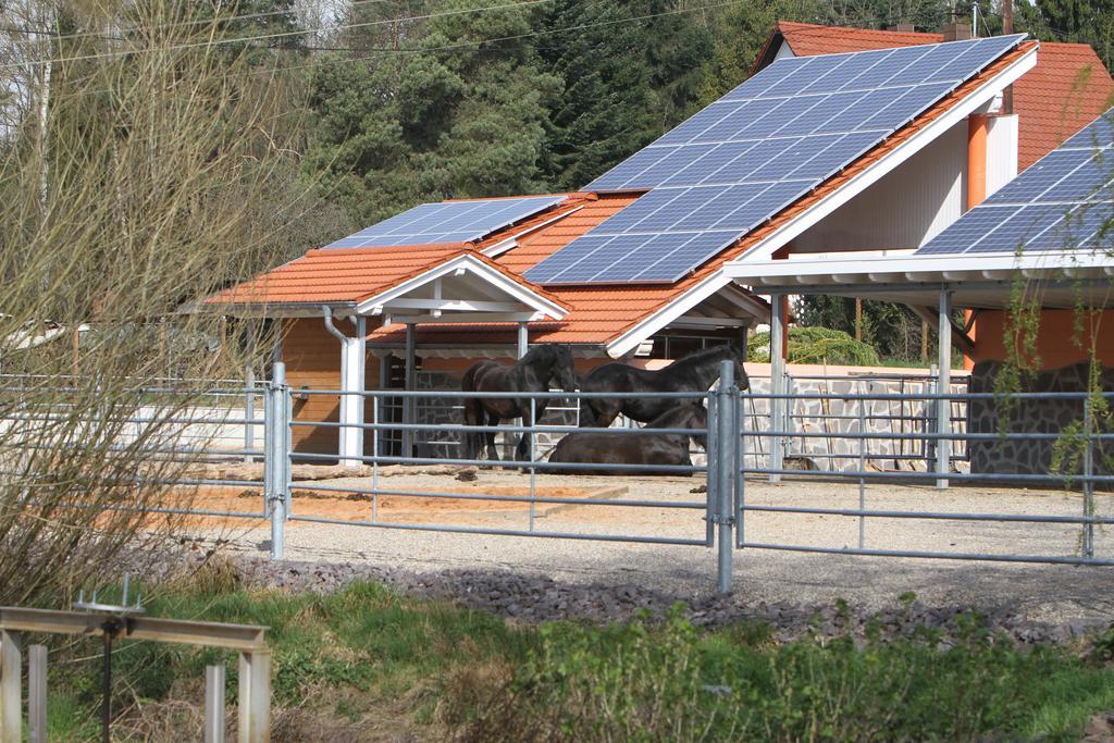 Saarlandtraum Weihermuehle Schmelz Exteriér fotografie