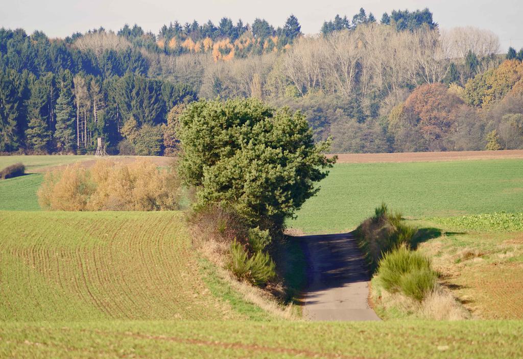 Saarlandtraum Weihermuehle Schmelz Exteriér fotografie